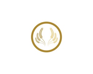 Wheat logo template