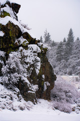 Snow Capped Boulder
