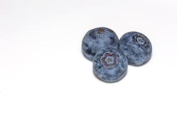 Three Blueberries on White