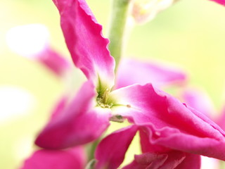 Fototapeta premium OLYMPUS DIGITAL CAMERA