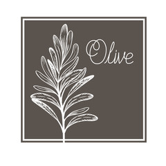 Fototapeta na wymiar olive flower drawing isolated icon
