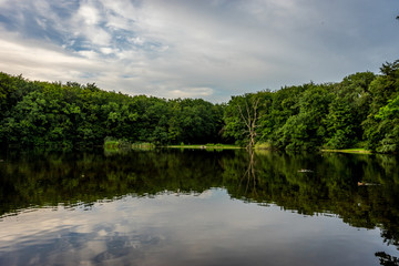 Blue sky over a lake at Haagse Bos, forest in The Hague