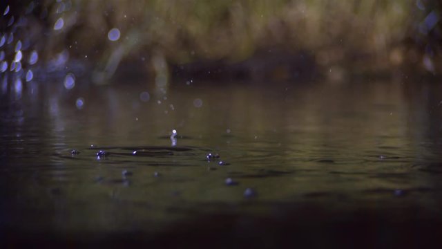 raindrops on water