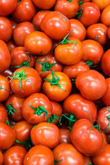 Ton of Organic Tomatoes Background