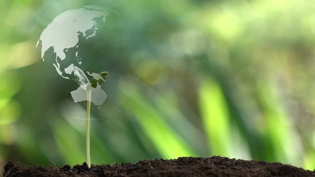 Planting a tree and the earth rotation hologram for save the earth and natural , clean ecology in natural.