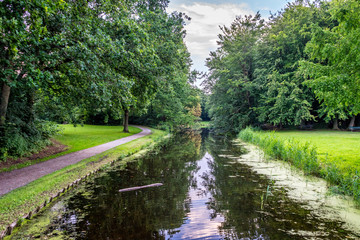 walking path along a pond at Haagse Bos, forest in The Hague