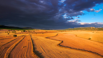 Aerial view of  golden fields in La Mancha.Albacete.Spain. Drone Photo