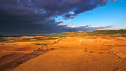 Fototapeta na wymiar Aerial view of golden fields in La Mancha.Albacete.Spain. Drone Photo