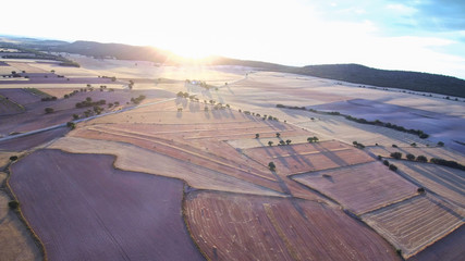 Aerial view of  golden fields in La Mancha.Albacete.Spain. Drone Photo