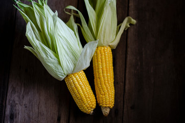 fresh sweet corn still life and great organic food and vegetable 