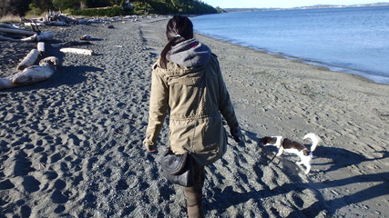 Dog walker on beach