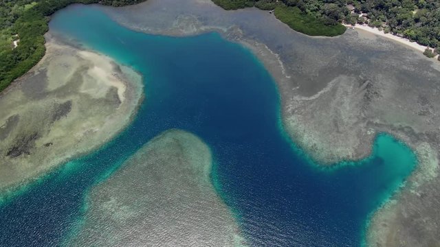 Aerial drone birds eye view shot overlooking the bright blue sea at Bama Beach in Baluran National Park in East Java Indonesia