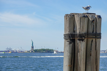 Statue of liberty, Manhattan, New York, USA