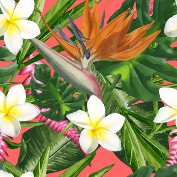 Tropical Dreams - Bird of Paradise