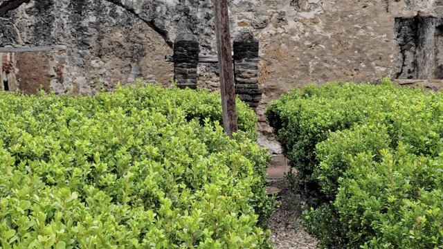 camera moving up from green bushes to reveal a crucifix in the ruins of a old monastery
