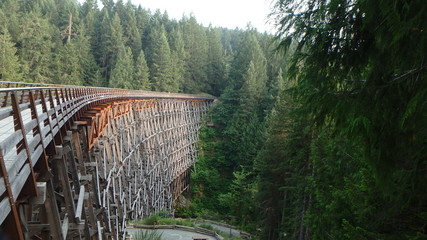 Old wooden railway trestle in forest (Kinsol Trestle, British Columbia)