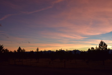 Oregon sunset