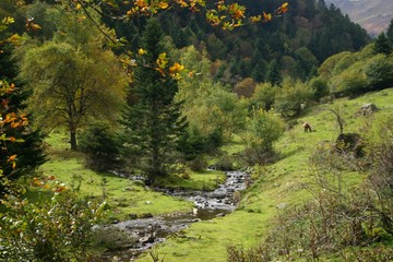 Ruisseau Vall&eacute;e Lesponne