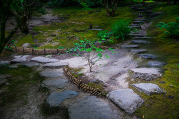 illuminated garden path
