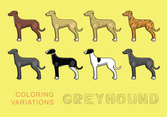 Dog Greyhound Coloring Variations Vector Illustration
