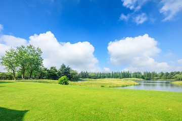 Green grass and forest landscape in city park