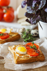 Sandwich with fried egg, tomato and fried cheese.