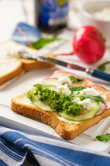 Vegetarian sandwich with cucumber, radish and ricotta.
