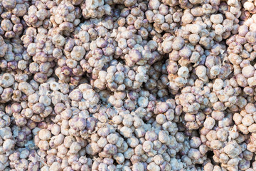 Fresh garlic pile texture background.