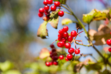 Plitvice Lakes National Park in Croatia