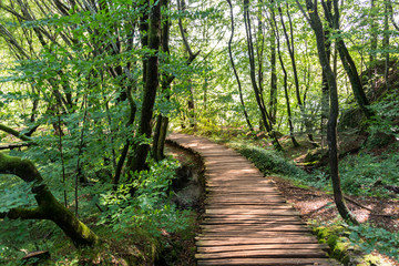 Plitvice Lakes National Park in Croatia