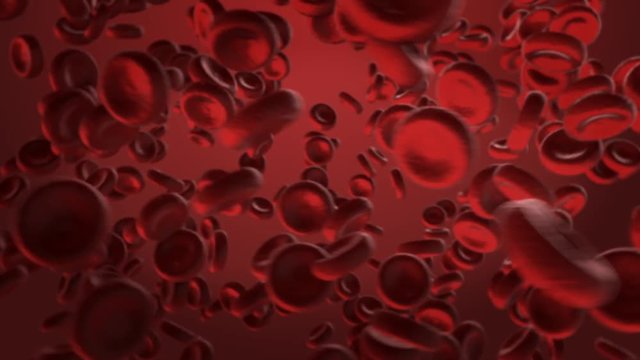 Red blood cells in vein