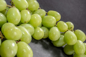 グリーンシードレス