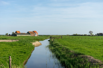 Netherlands,Wetlands,Maarken, a lush green field next to a body of water