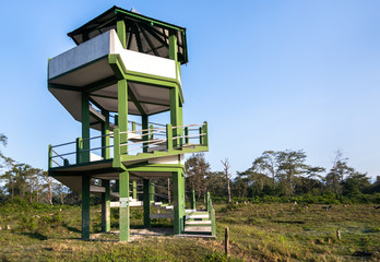 Manas national park and wildlife during daytime and green park