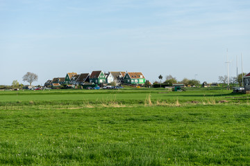 Netherlands,Wetlands,Maarken, a close up of a lush green field