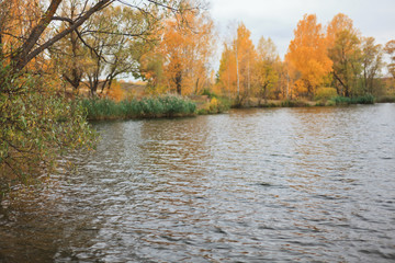 Fototapeta premium autumn landscape with lake and trees