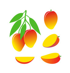Mango logo. Isolated mango on white background