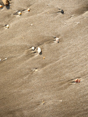 Patterns Texture of sand on the beach