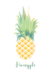 Pineapple vector in faded vintage retro style design with green leaves and yellow fruit, delicious fresh food drawn in trendy illustration