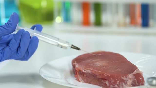 Quality lab worker making injection into meat to determine antibiotics and gmo