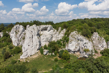 Skały Rzędkowickie- Jura © Tomasz Warszewski