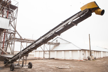 Grain conveyor at the elevator