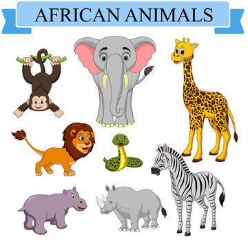 Cartoon african animals collection