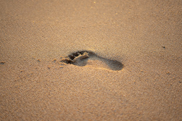 Fototapeta na wymiar Footprint in the sand at sunrise