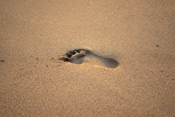 Footprint in the sand at sunrise