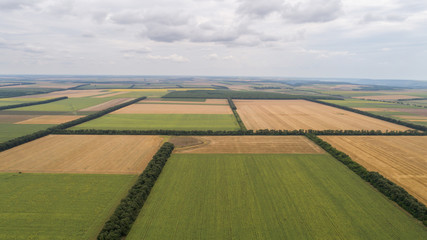 Aerial view of fields with various types of agriculture, against cloudy sky