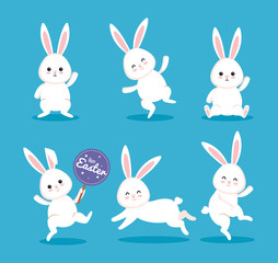set happy rabbit celebration with sticker notice