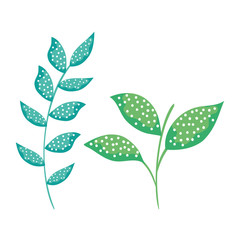 set exotic plants branches leaves