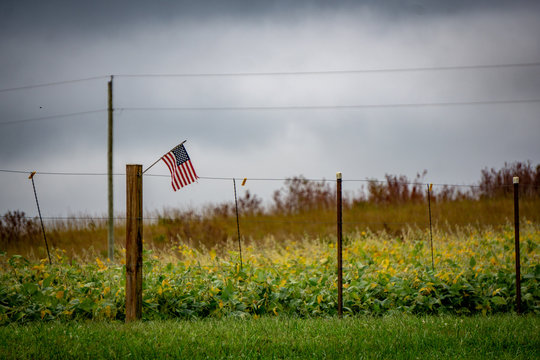 American Flag on fence - Powered by Adobe