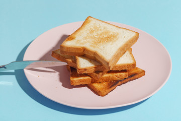 Plate with toasted bread on light-blue background.